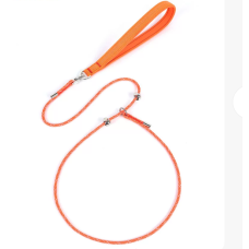 Durable Reflective Dog Leash, Padded Handle-2 Durable Reflective Dog Leash, Padded Handle-2
