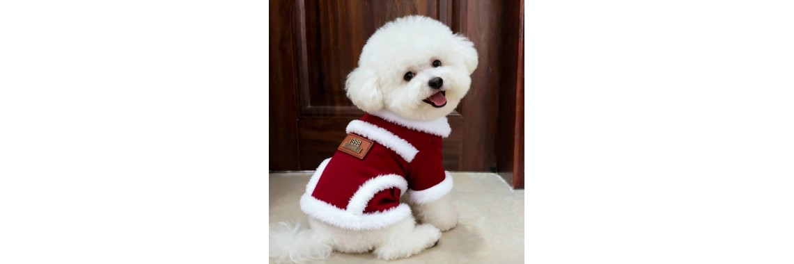 Pet Apparel  3