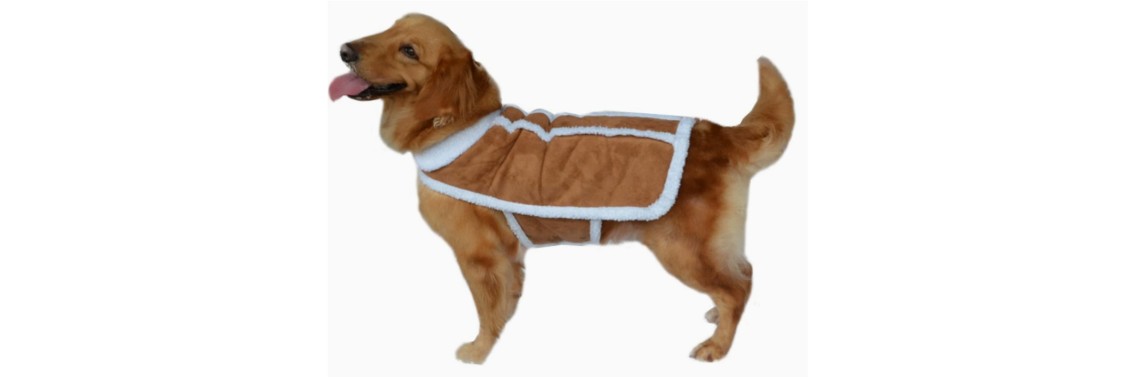 Pet Apparel