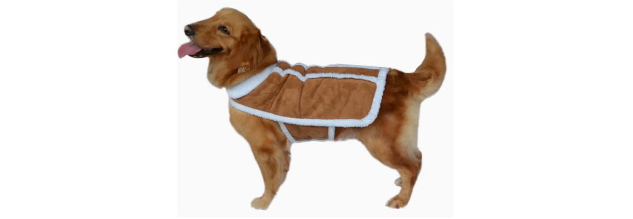 Pet Apparel