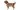 3-Winter Warm Dog Clothes，Faux‑Suede Thick Cotton Coat