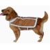 Winter Warm Dog Cotton Padded Jacket-1 Winter Warm Dog Cotton Padded Jacket-1