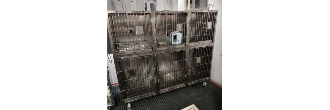 Combined 304SS Veterinary Cages