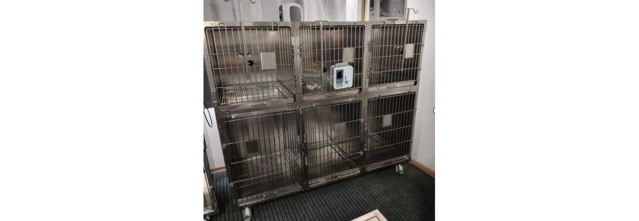 Combined 304SS Veterinary Cages