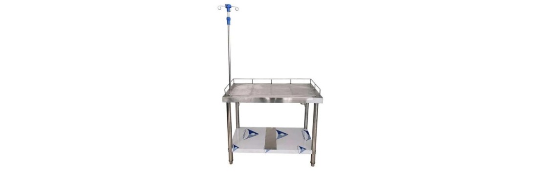 304SS Veterinary Infusion Table