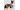 1- Winter Warm Dog Clothes，Faux‑Suede Thick Cotton Coat