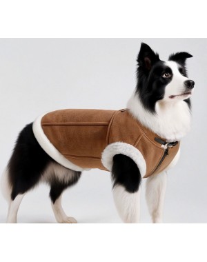 Winter Warm Dog Cotton Padded Jacket-2 Winter Warm Dog Cotton Padded Jacket-2