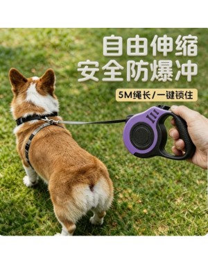 Durable Reflective Dog Leash, Padded Handle-1 Durable Reflective Dog Leash, Padded Handle-1