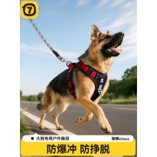 Durable Reflective Dog Leash, Padded Handle-3 Durable Reflective Dog Leash, Padded Handle-3