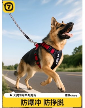 Durable Reflective Dog Leash, Padded Handle-3 Durable Reflective Dog Leash, Padded Handle-3