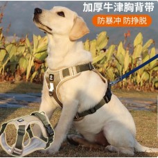 Durable Reflective Dog Leash, Padded Handle-4 Durable Reflective Dog Leash, Padded Handle-4