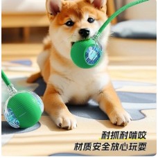 Durable Reflective Dog Leash, Padded Handle-5 Durable Reflective Dog Leash, Padded Handle-5
